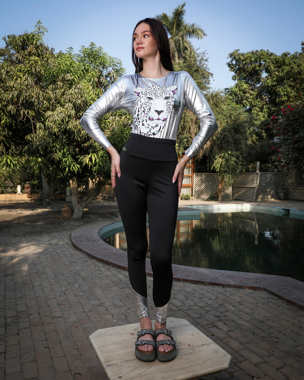 silver tiger full set